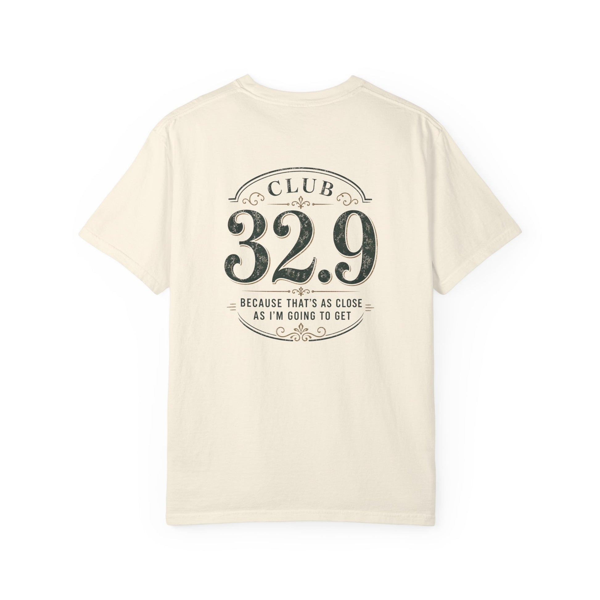 Funny Club 32.9 Disneyland-inspired Comfort Colors t-shirt back design